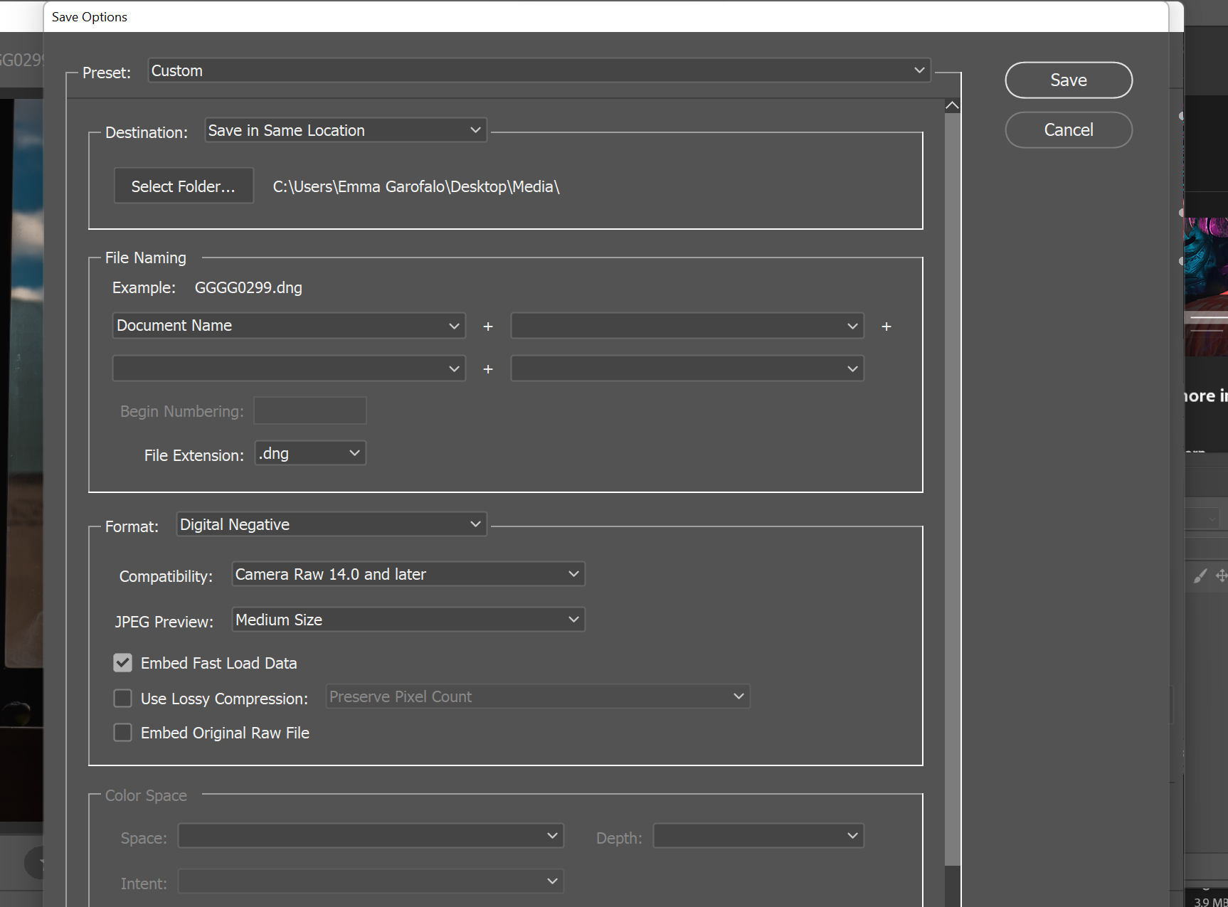 The Export Options in Adobe Camera Raw.