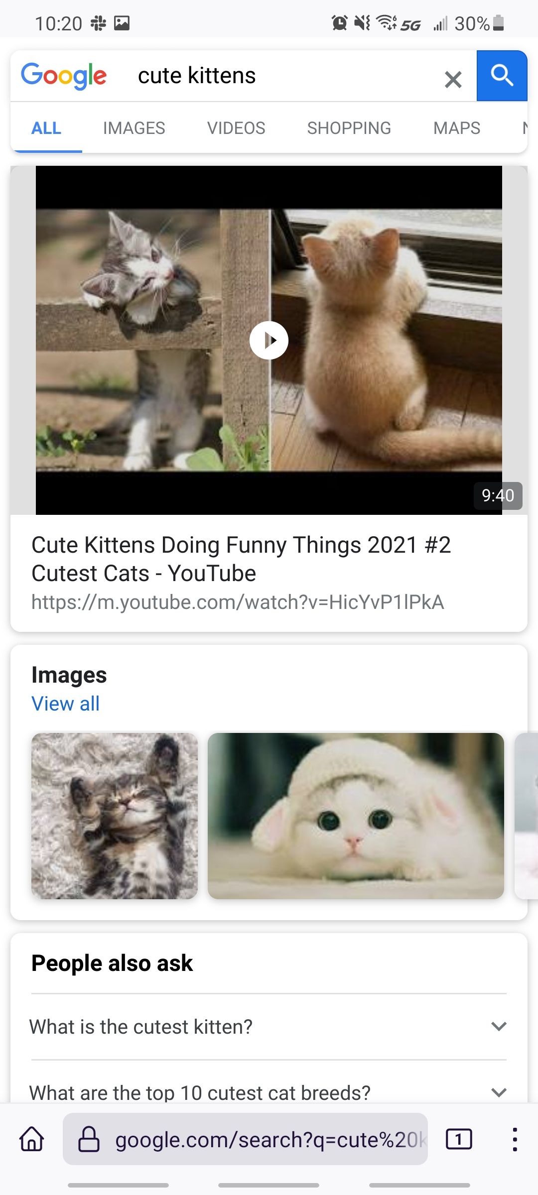 firefox browser using google search engine to look for cute kittens