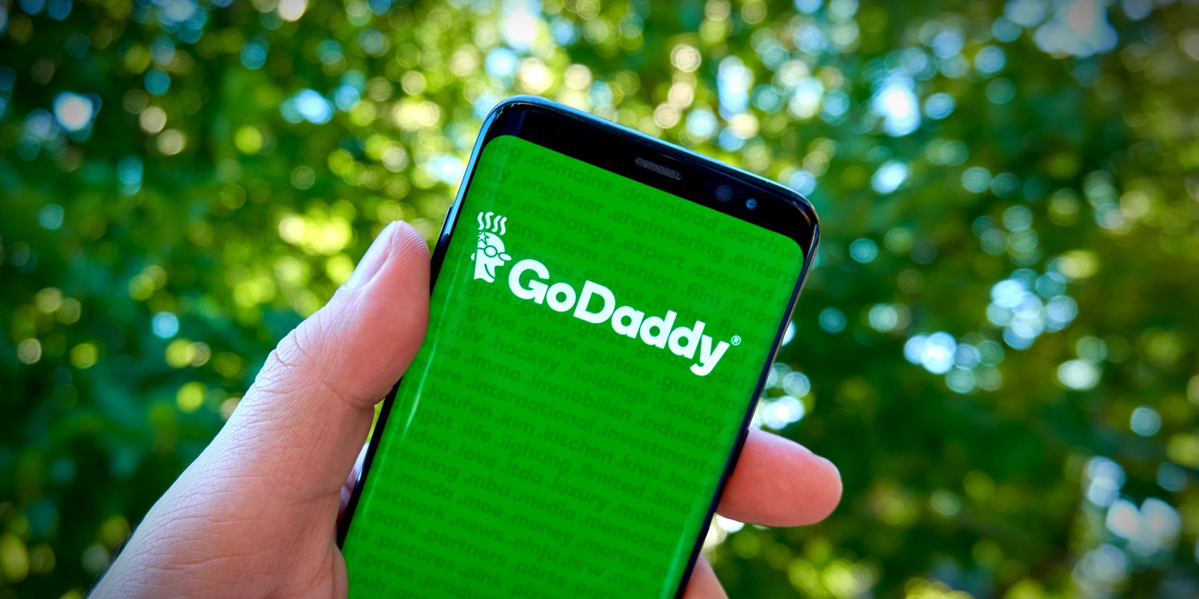godaddy logo on phone feature