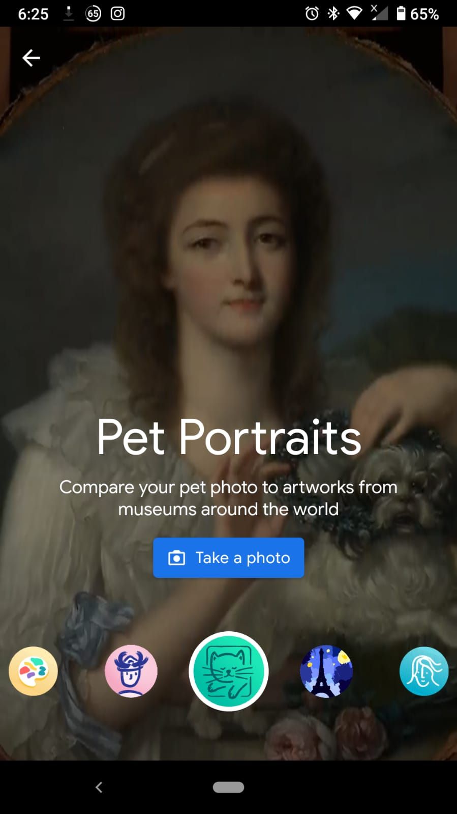 Find Your Pet in Famous Artworks With Google’s Arts & Culture App