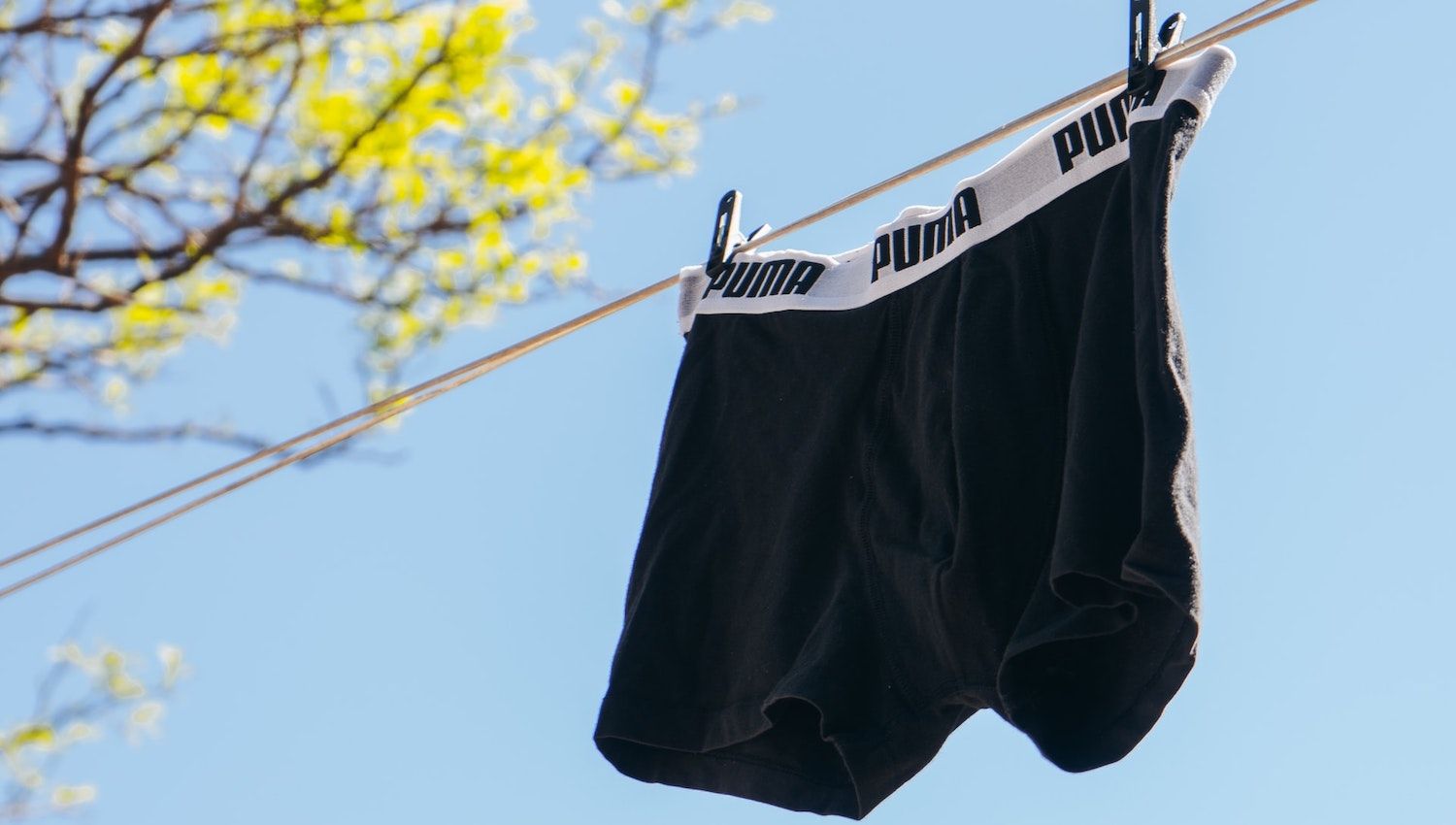 underwear hanging on line