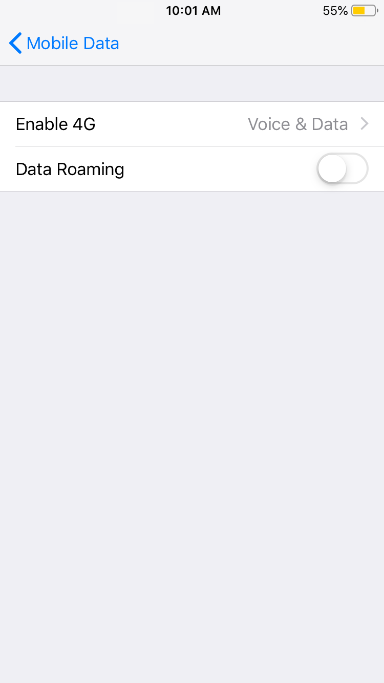 iphone enable 4g in settings screenshot
