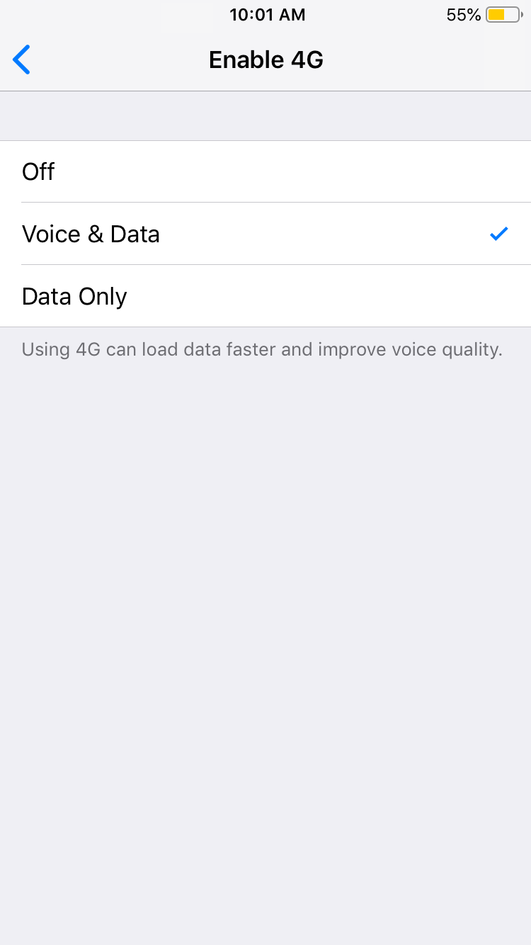 iphone select voice and data to enable 4g screenshot 