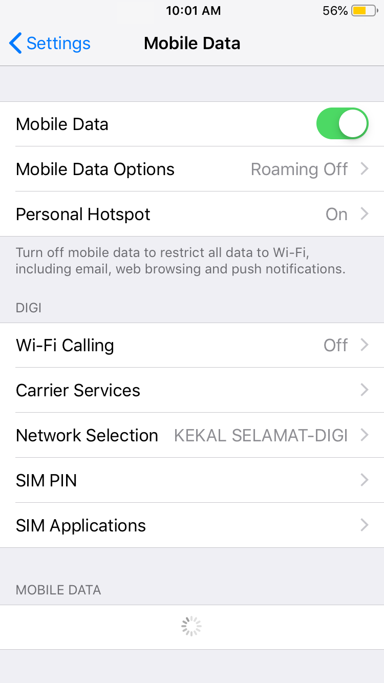 iphone mobile data settings screenshot