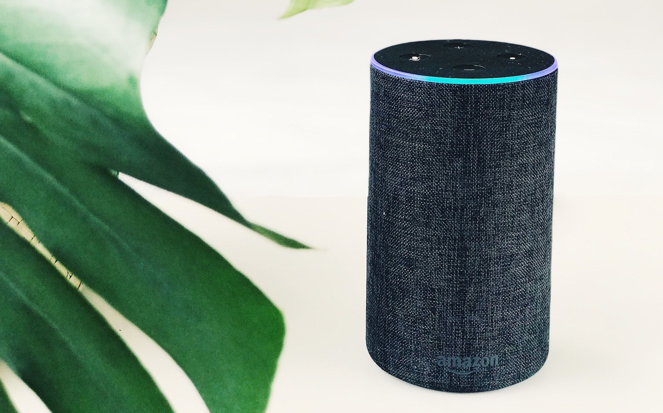 Alexa, hack yourself - researchers describe new exploit that turns smart  speakers against themselves