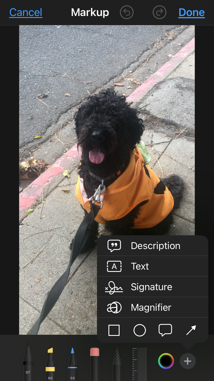 An image of a dog in markup with the Markup settings list displayed