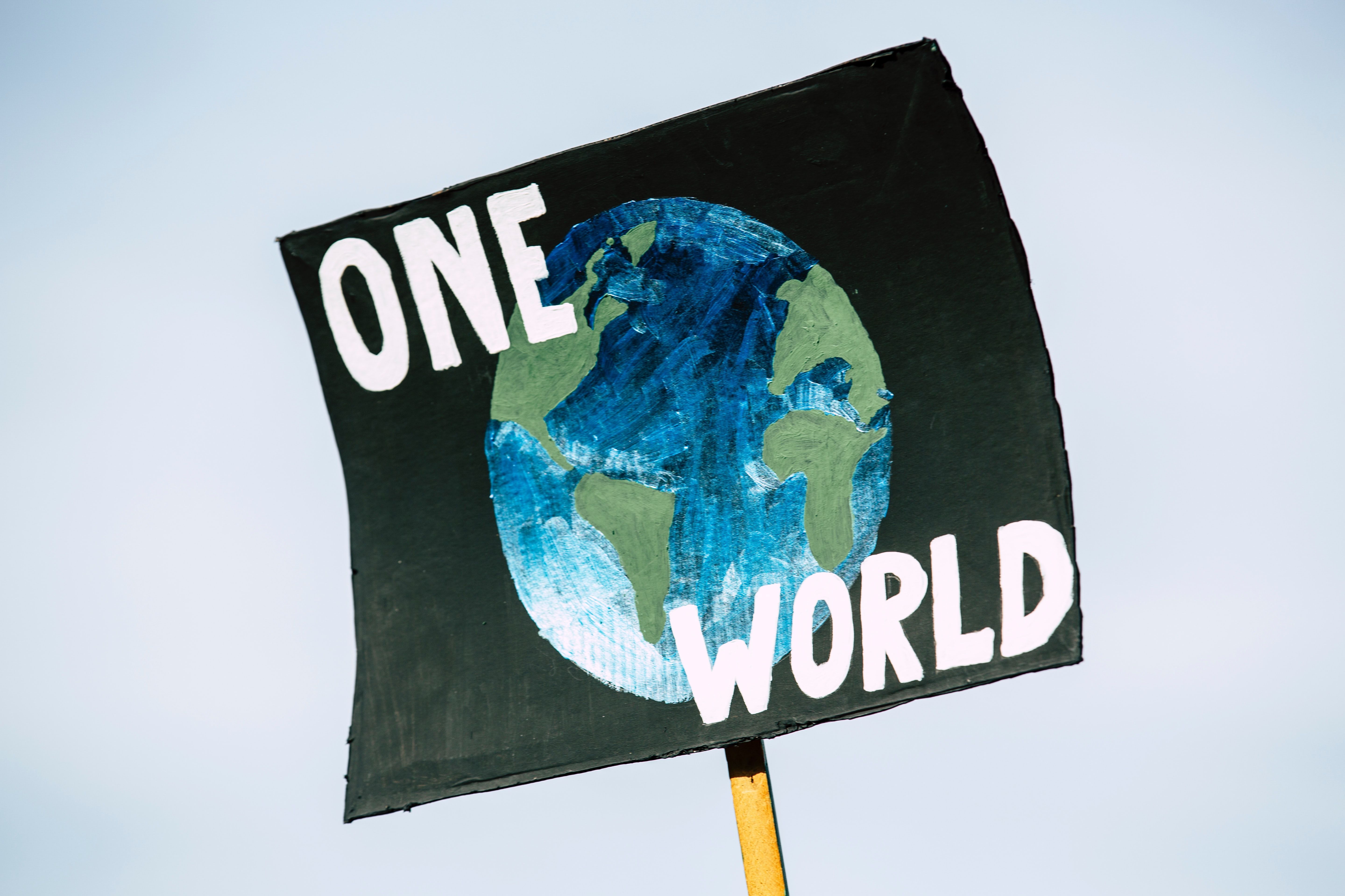 A picket sign that says "One World" over a painting of the planet.