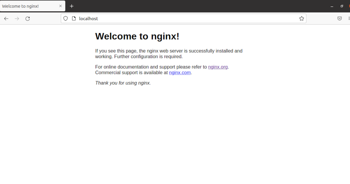 default page served by the nginx server