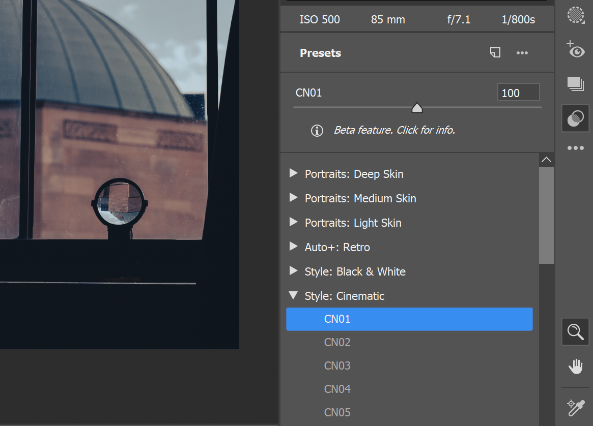 Exploring all of the Presets in Camera Raw.