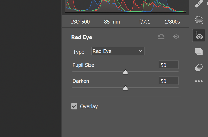The Red Eye tool in Adobe Camera Raw.