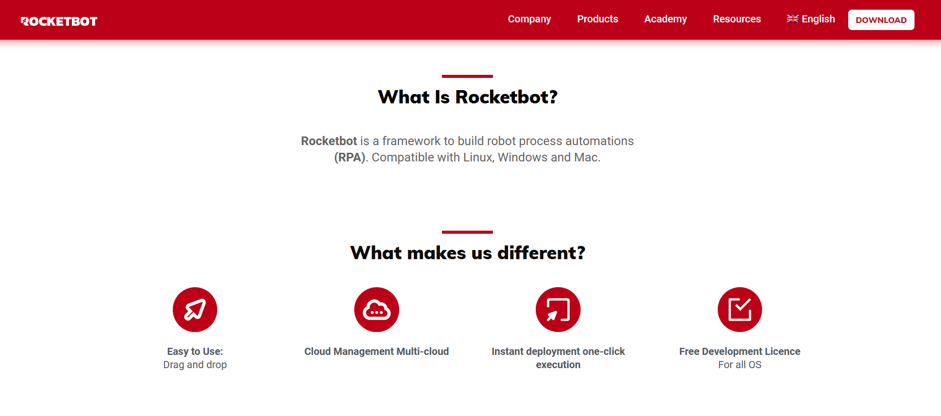 Rocketbot RPA Service Features