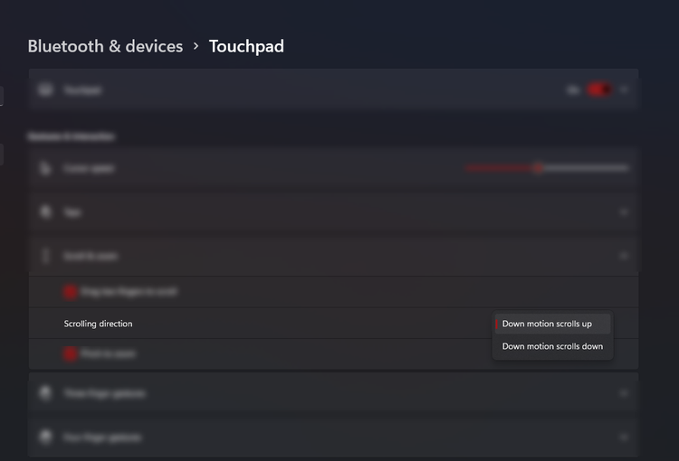 ویژگیهای تاچ پد و نحوه استفاده از آن در ویندوز 11 6 scrolling direction.png?q=50&fit=crop&w=750&dpr=1