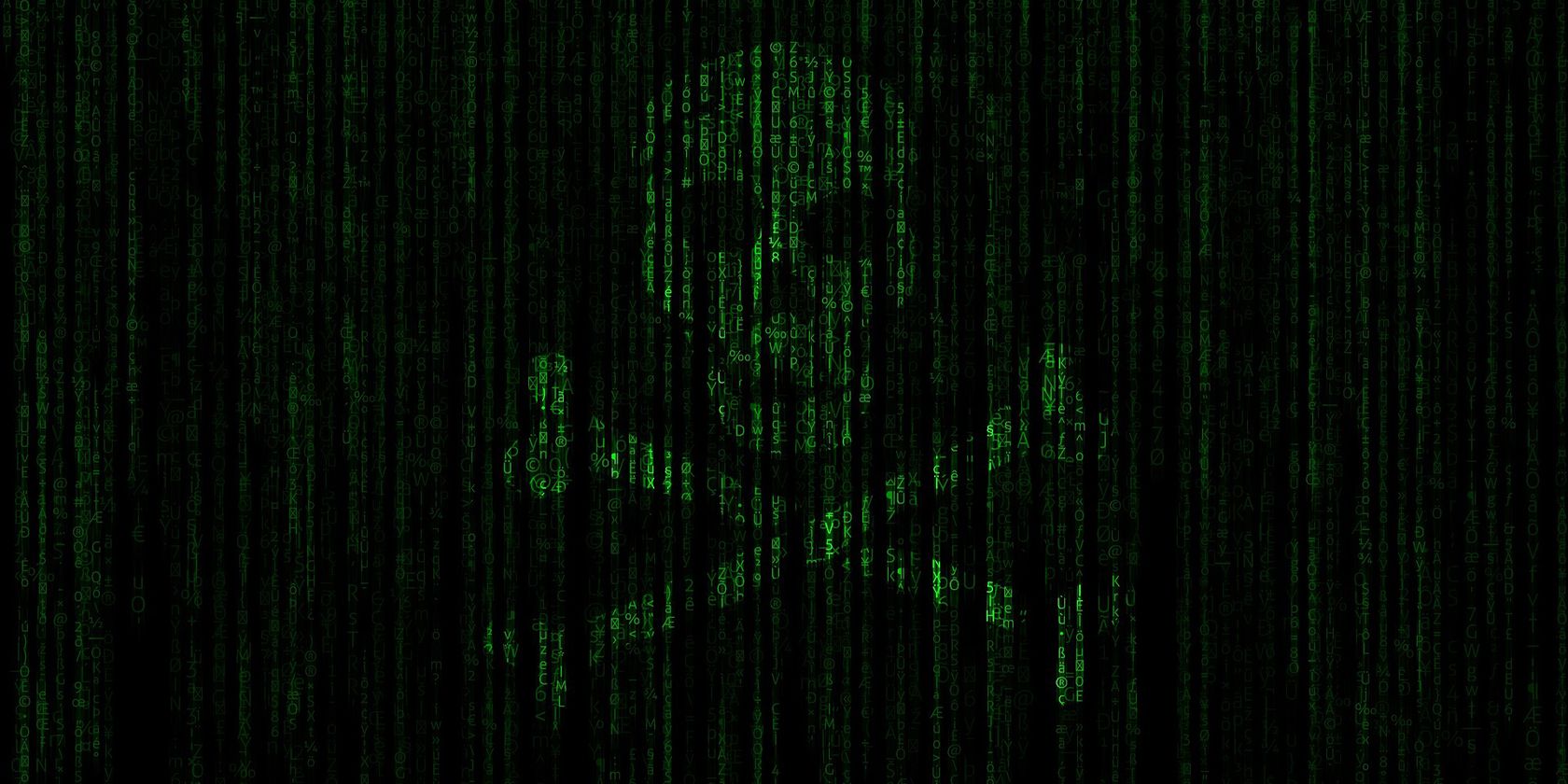 skull and bones higlighted on a matrix code screen