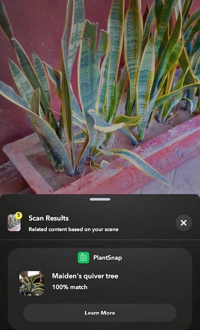 5 Things You Can Do With the Snapchat Scan Feature