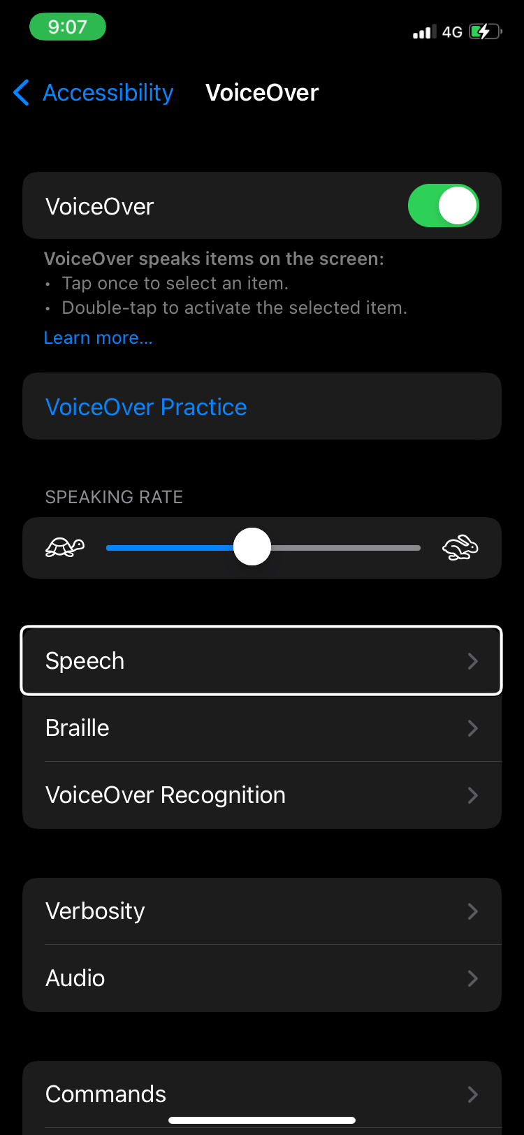 speech in voiceover