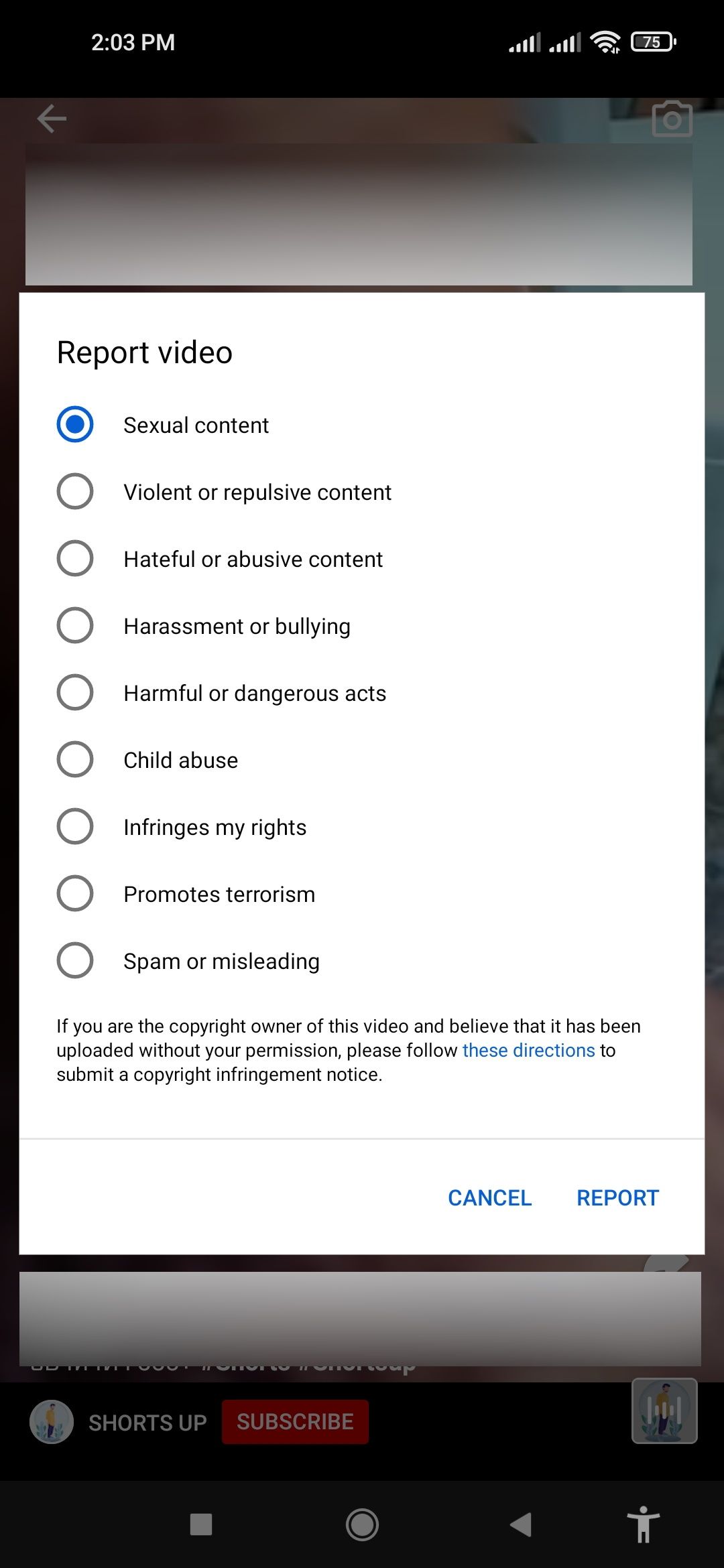 Reporting YouTube Shorts select reason