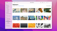Apple Photos Shared Album Nasvepride