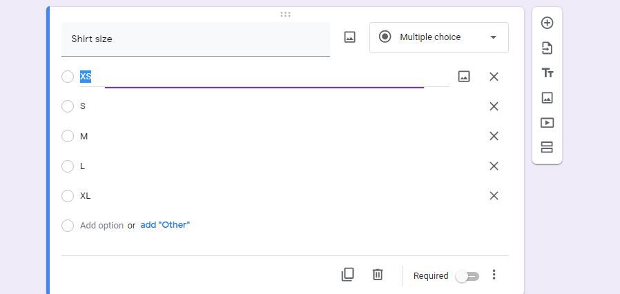 Selecting Image Size Window of Google Forms