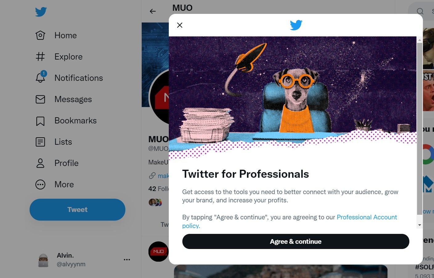 Twitter for Professionals set up page