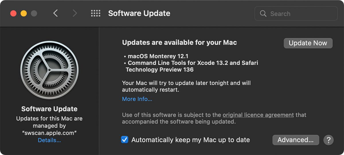 Software Update in System Preferences