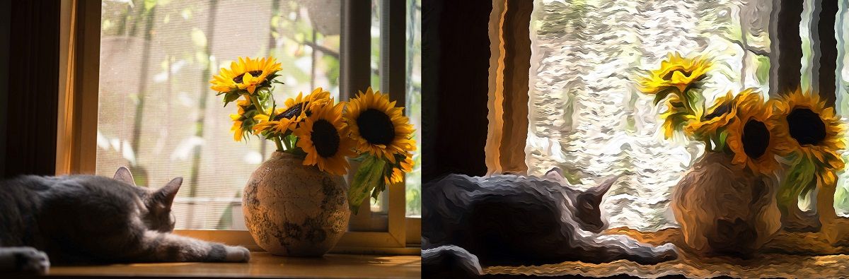 cat and flowers - before and after