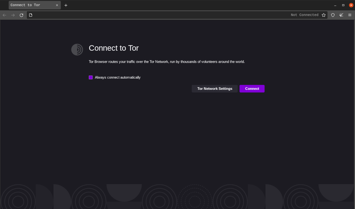 tor browser nsis error гирда