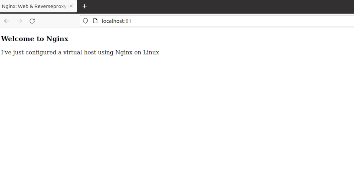 nginx server serving a website