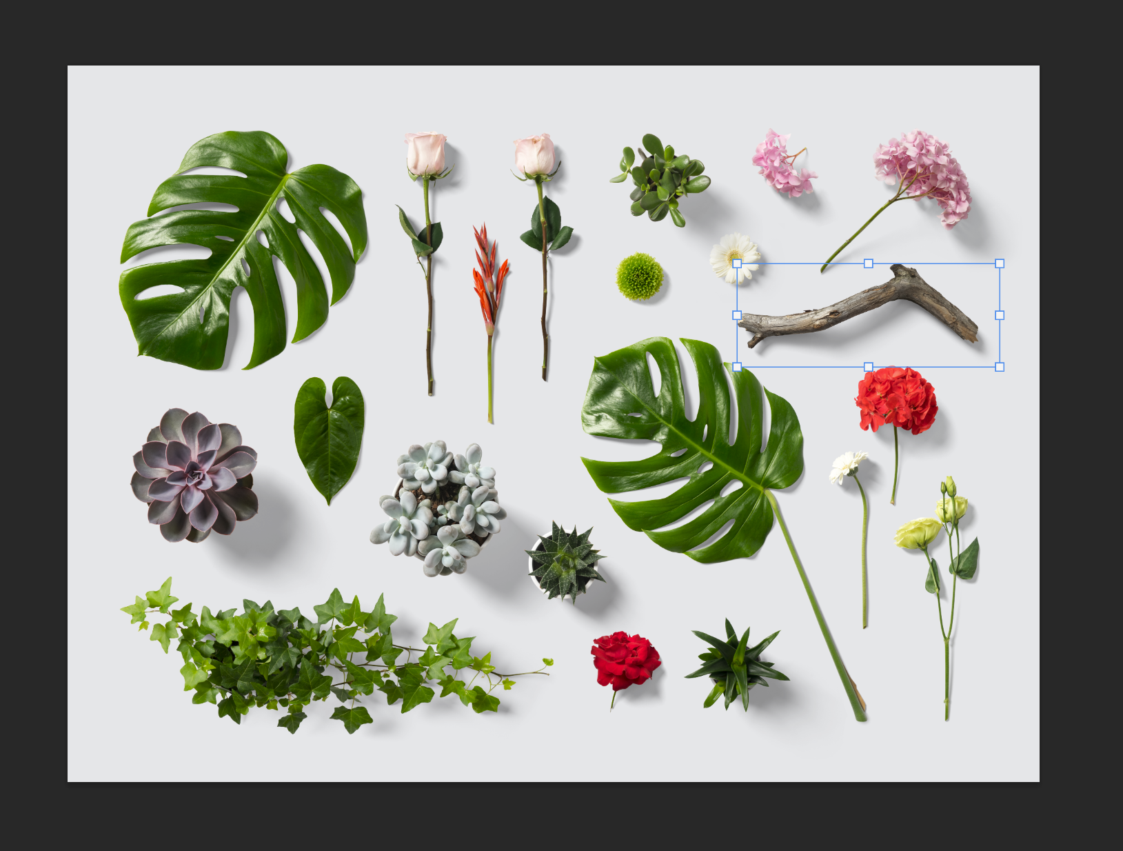 One really nifty collection of nature assets in Photoshop.