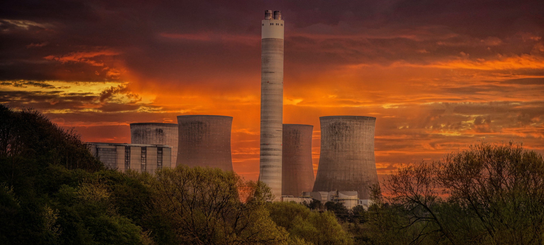 NFTs Hurt the Environment. Here's Why That Might Change.