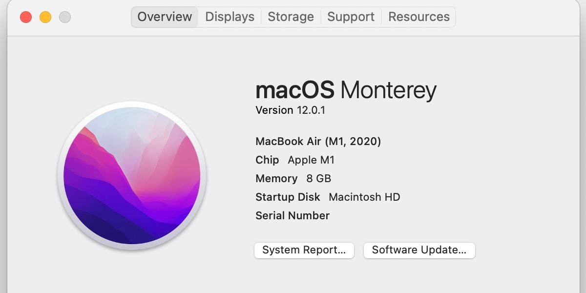 macOS about this Mac overview section.