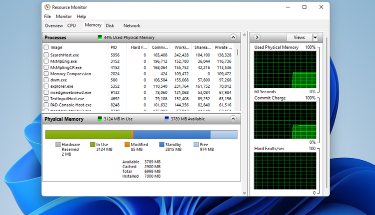 میزان استفاده از RAM، GPU و CPU را در ویندوز 11 بررسی کنید 6 memory tab.png?q=50&fit=crop&w=750&dpr=1