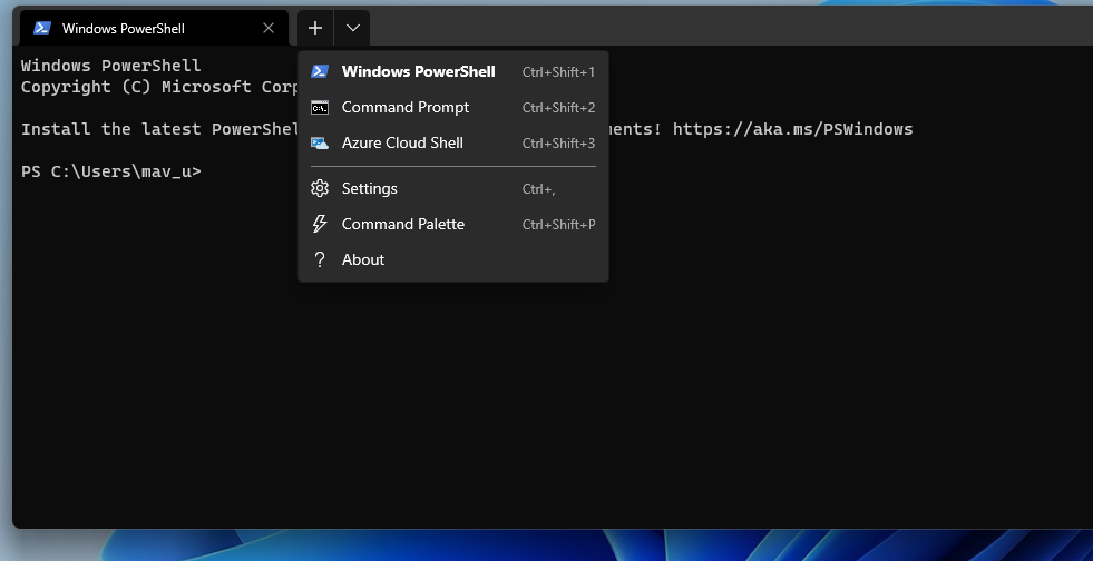 The Open a new tab button in Windows Terminal 