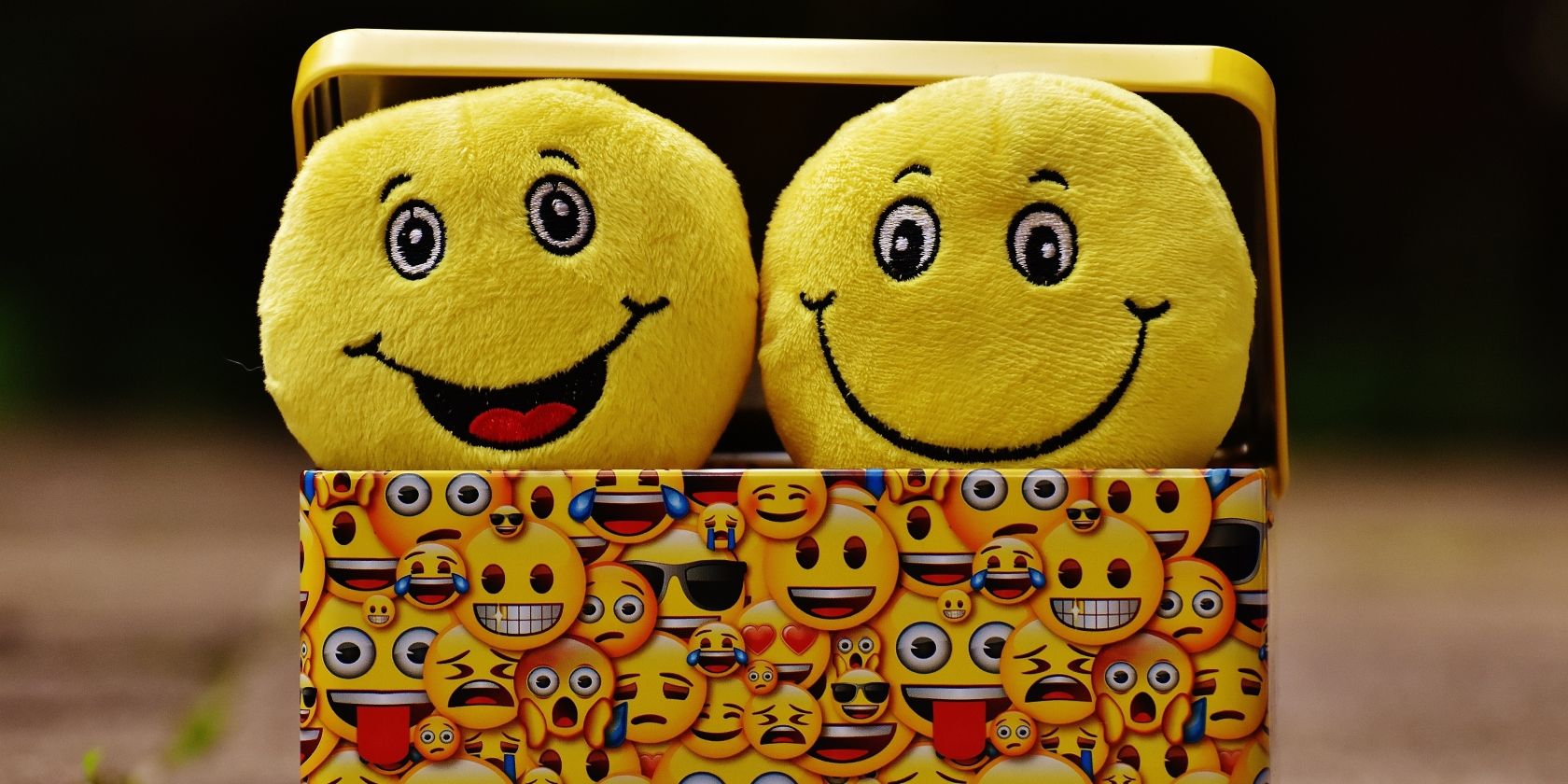 Two yellow smiley emojis in a yellow box