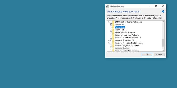 10 باگ عجیب و ایستر اگ (Easter Eggs) ویندوز 3 screenshot of windows features telnet client .jpg?q=50&fit=crop&w=750&dpr=1 -