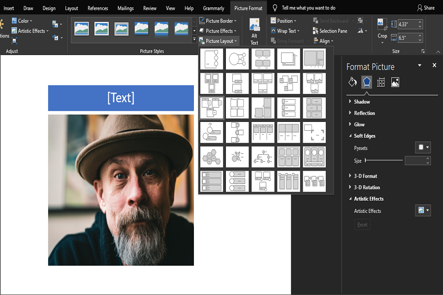 Adding Text To An Image Using Picture Layout Tool In Microsoft Word