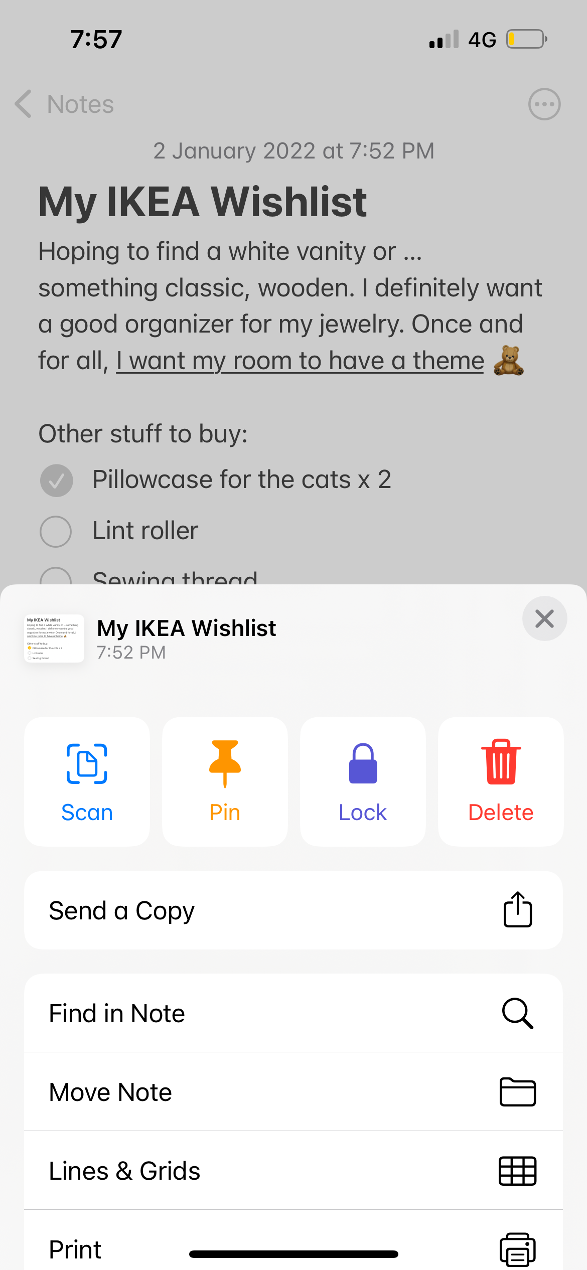 options from more button in iphone notes