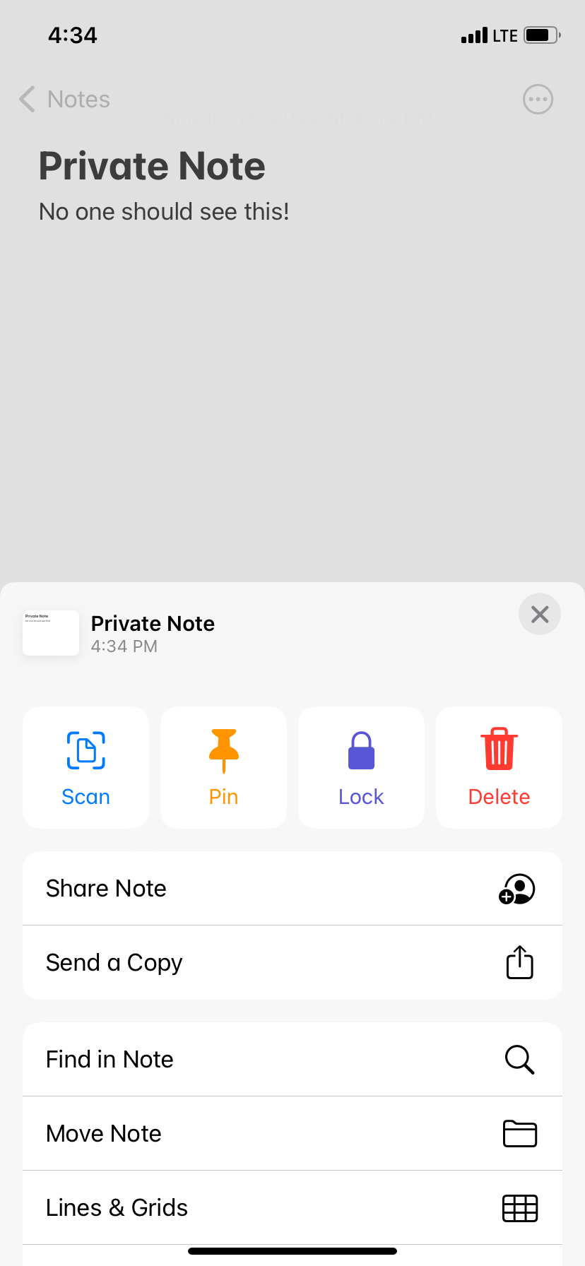 Image shows the Notes App options on an iPhone