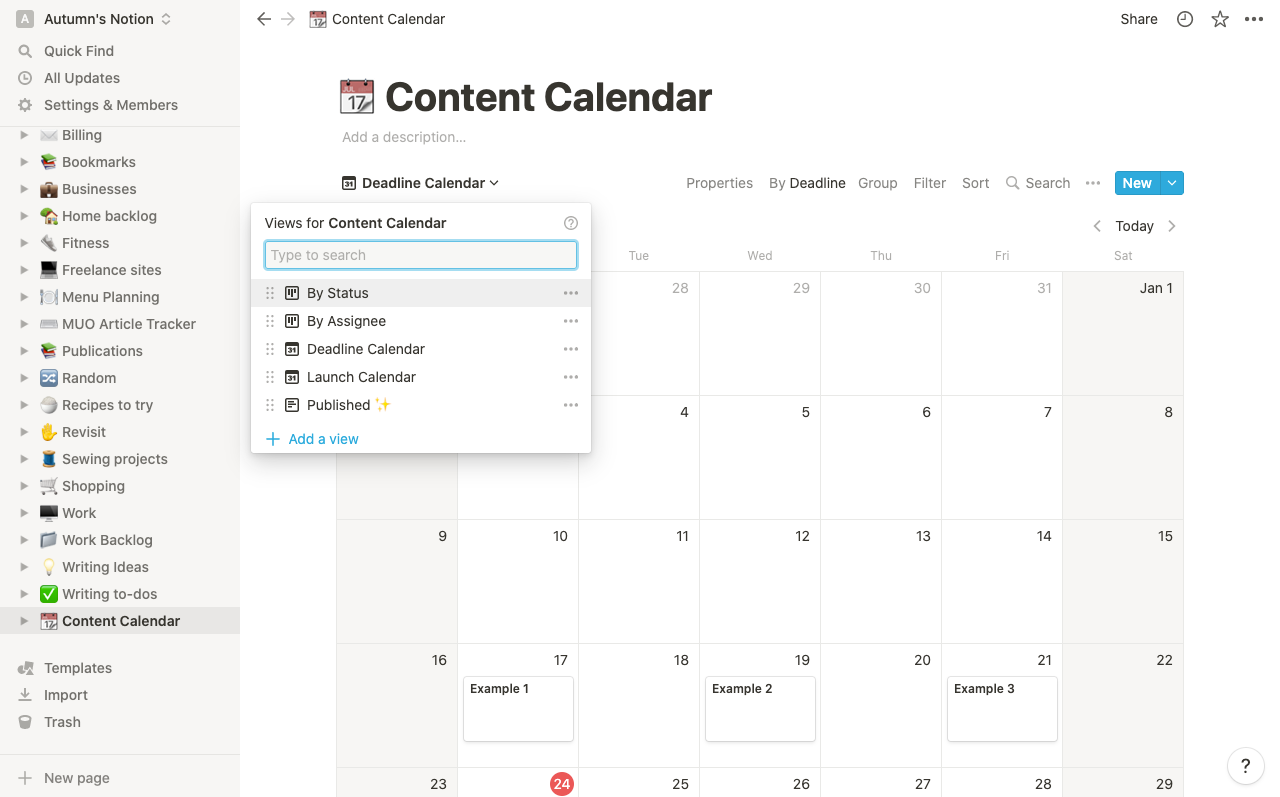 Screenshot of a calendar with project deadline examples