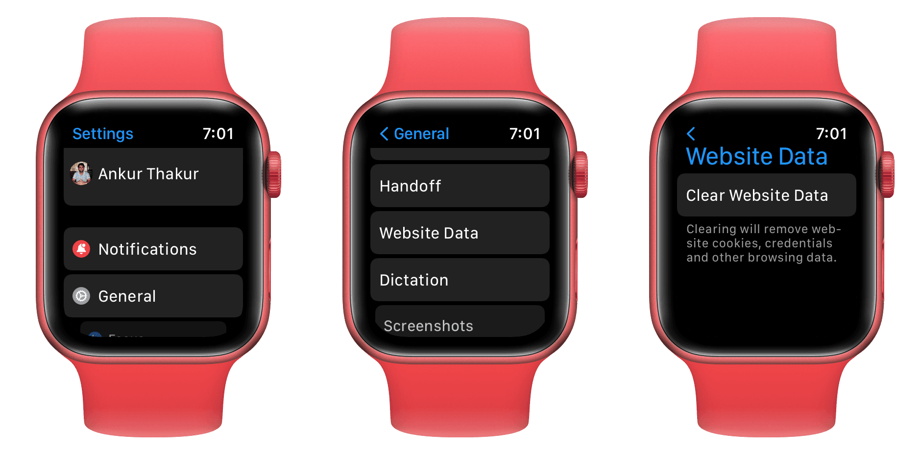 best web browser for apple watch