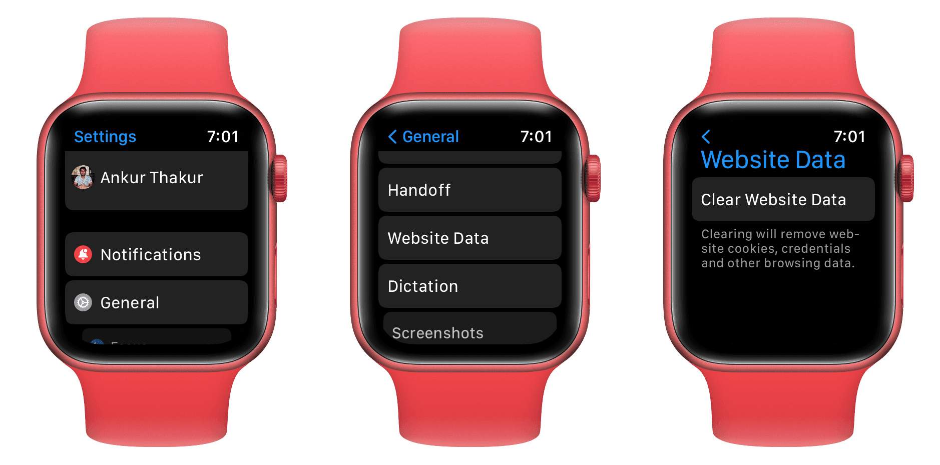 How to Use the Secret Safari Browser Hidden on Your Apple Watch