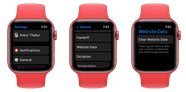 How To Use The Secret Safari Browser Hidden On Your Apple Watch