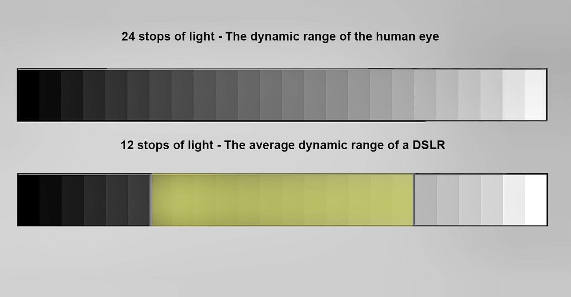 Chart showing dynamic range