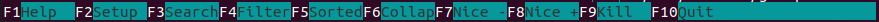 Htop Footer