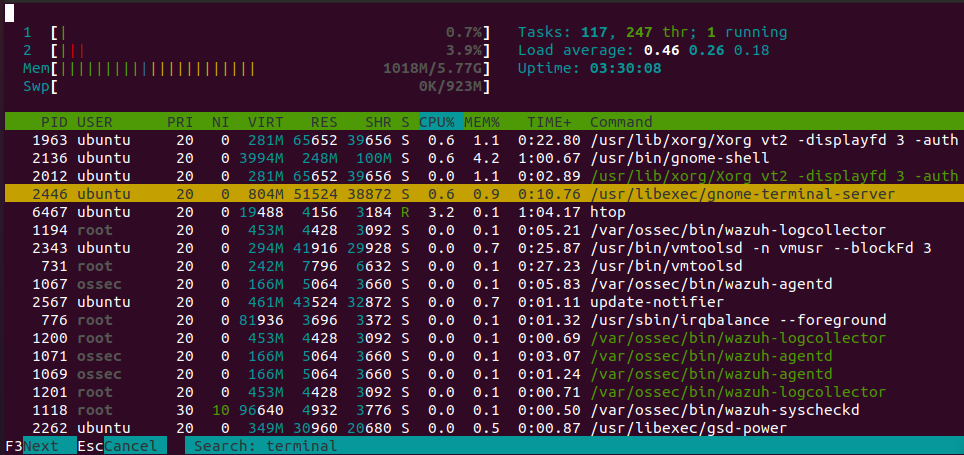 Htop Terminal Program Search