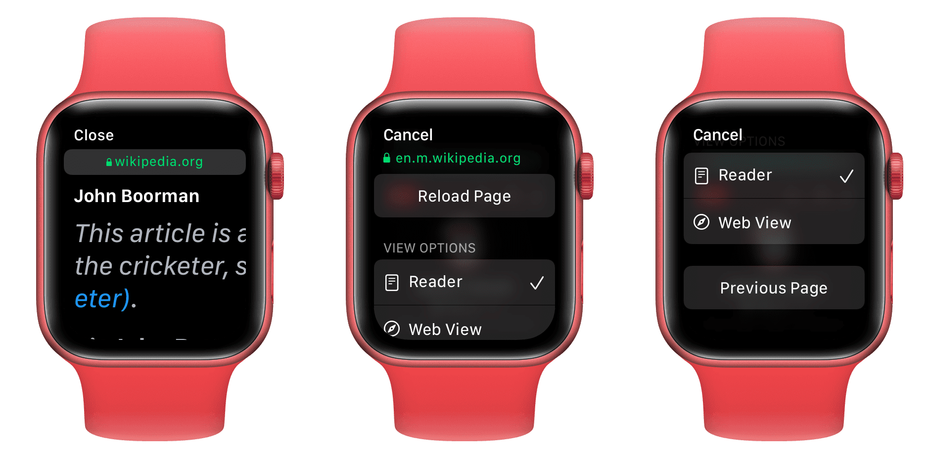 How to Use the Secret Safari Browser Hidden on Your Apple Watch