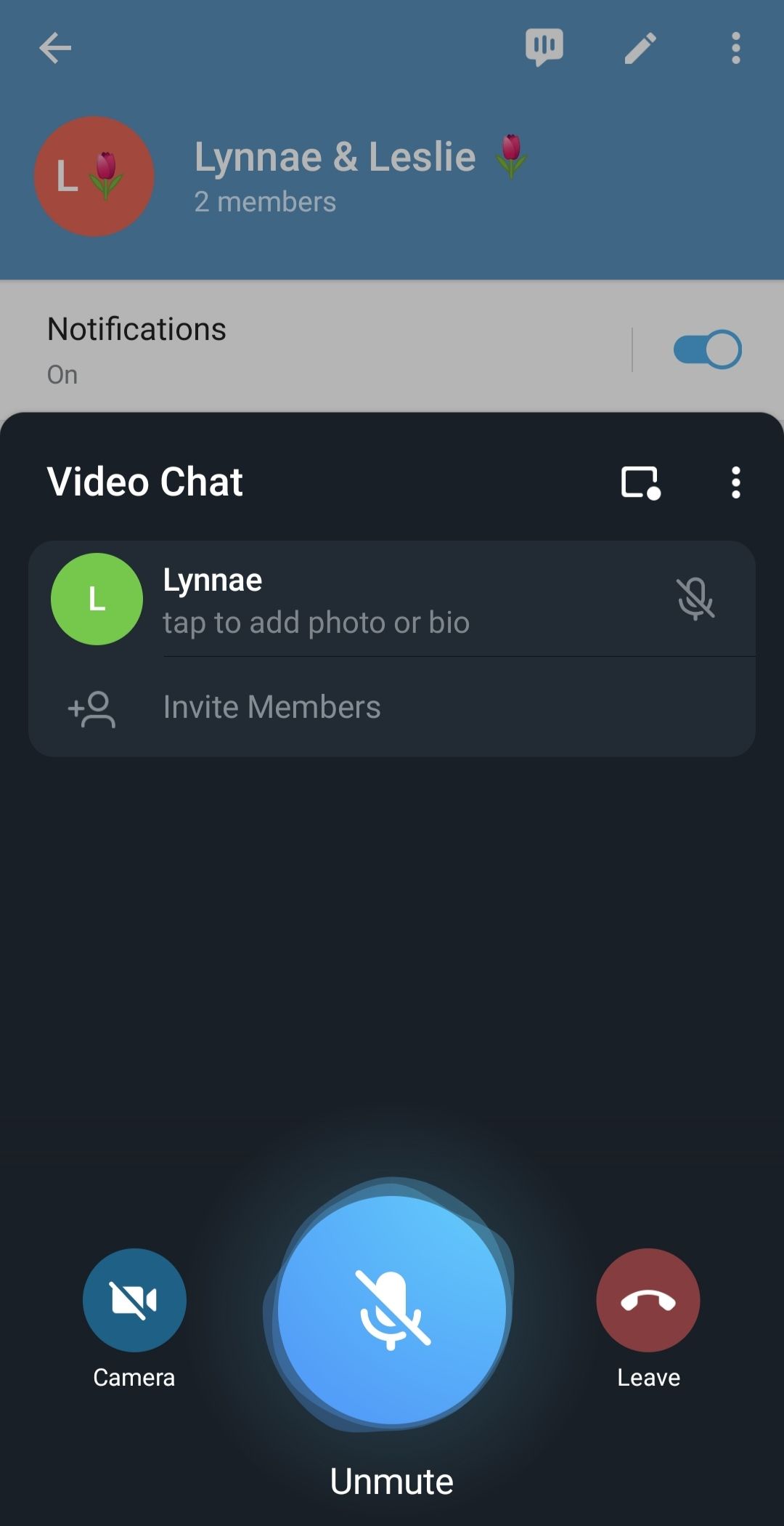 Telegram video chat window with three dots in the right-hand corner to access menu options 