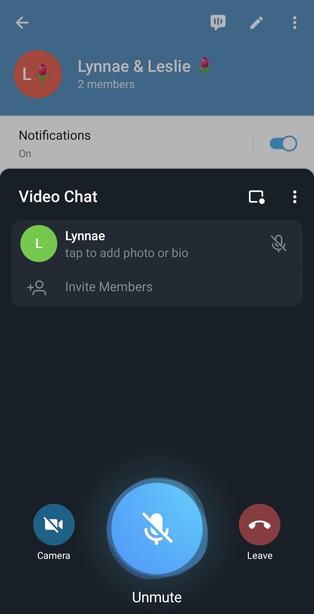 4 Features to Make the Most of Telegram Video Calls