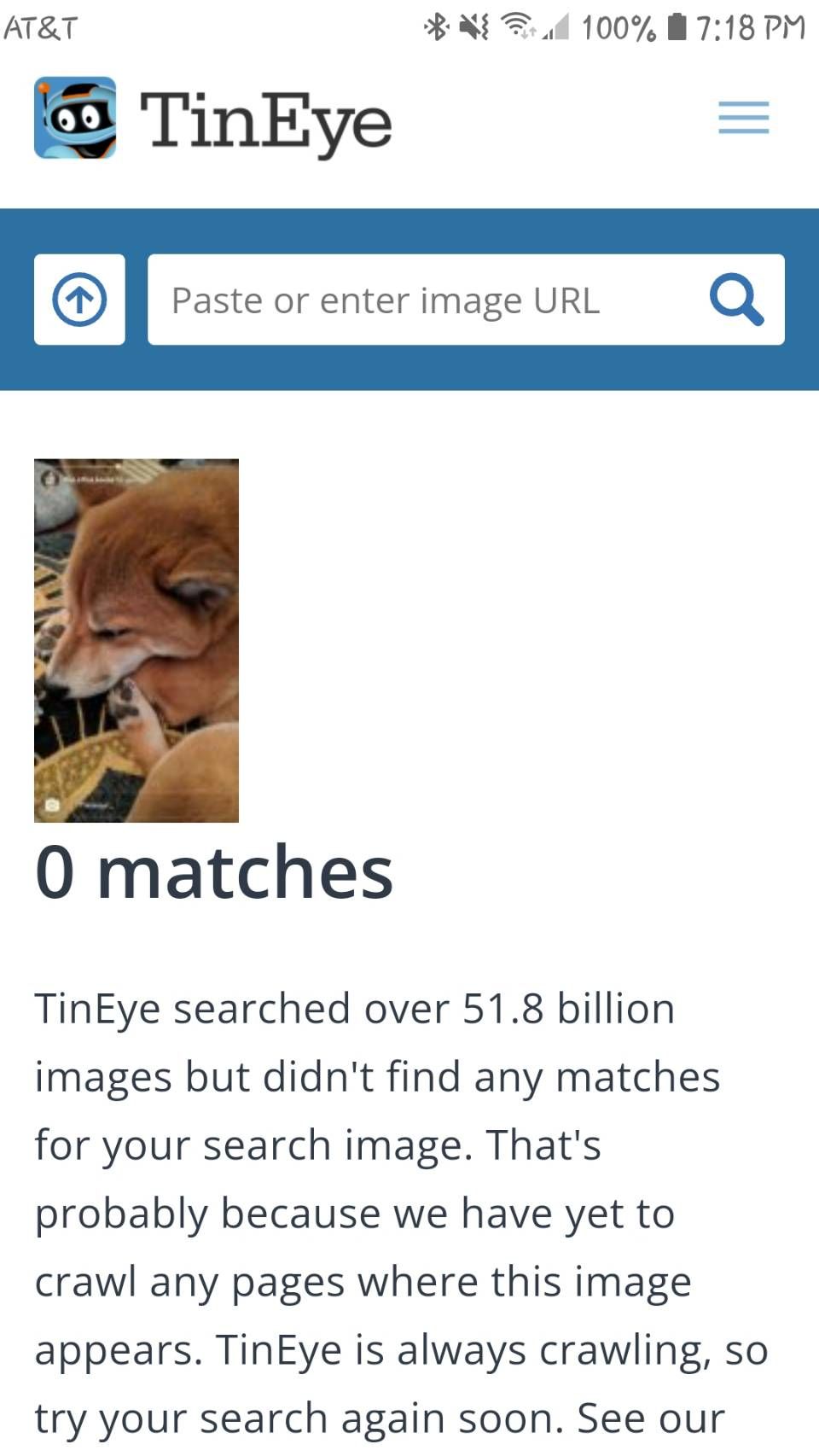 Tineye no results example