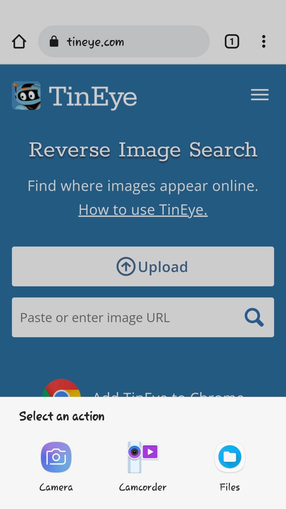 The 10 Best Reverse Image Search Apps For Iphone And Android The 10 Best Reverse Image Search Apps For Iphone And Android