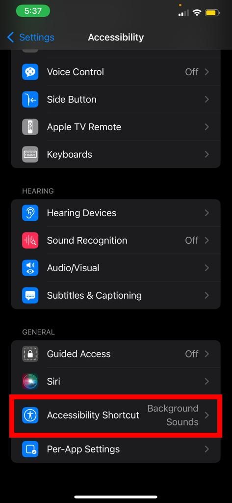 accessibility shortcut in iPhone settings